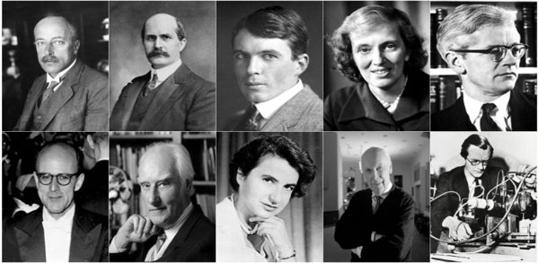 von Laue, Bragg Senior & Junior, Crowfoot Hodgkin, Kendrew, Perutz, Crick, Franklin, Watson & Wilkins